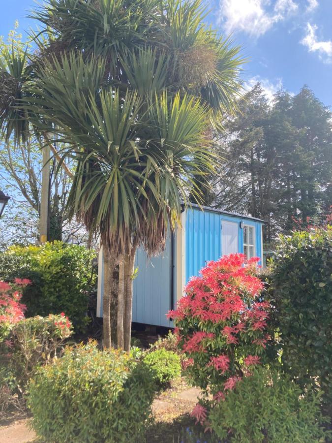 Atlantic Way Shepherd Hut موفيل المظهر الخارجي الصورة